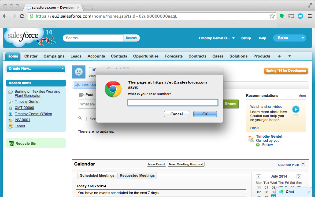 Salesforce Case Search Preview image 0