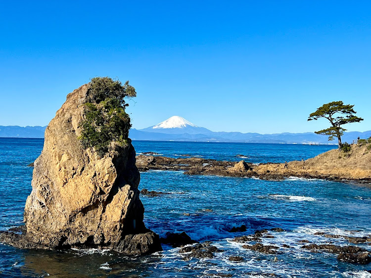 オデッセイの初日の出の後は・・・・横須賀の立石公園・アロエの花・冬の富士山は空気が澄んでいて綺麗です・娘が泊まりで帰省に関するカスタム事例の投稿画像3枚目