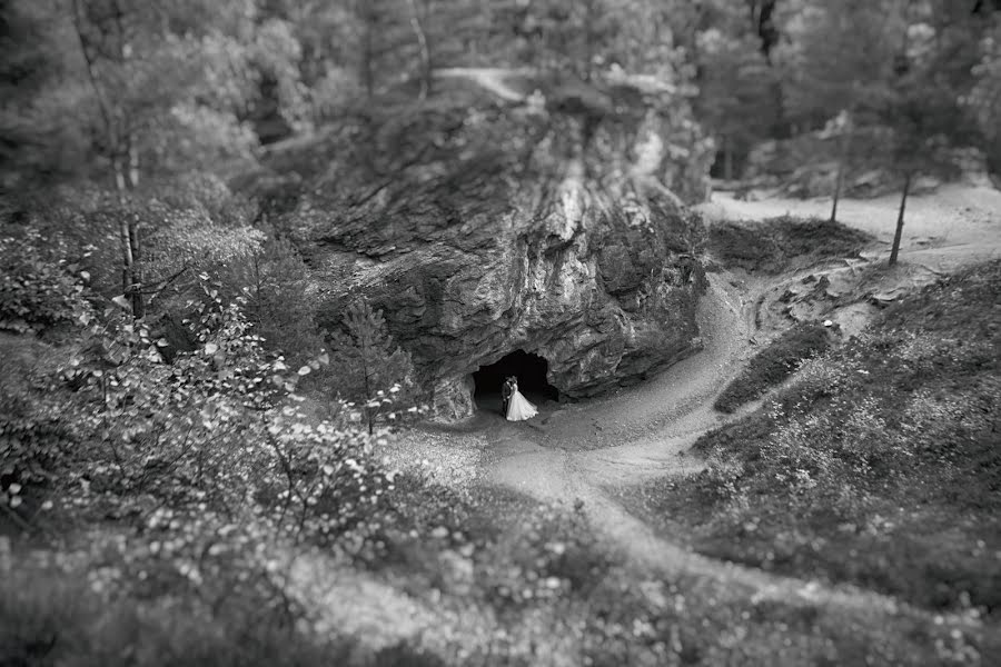 Fotógrafo de bodas Oktawia Guzy (sweetdreamstudio). Foto del 6 de enero 2017