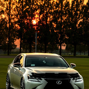 GS GRL10