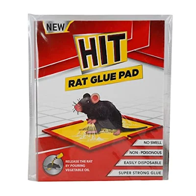 Hit Rat Glue Pad - 25 gm