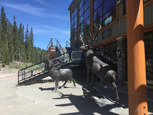 Sunshine Village