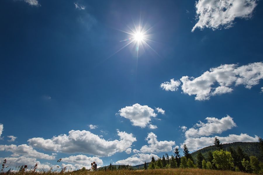 Bröllopsfotograf Krzysztof Jaworz (kjaworz). Foto av 10 juli 2015