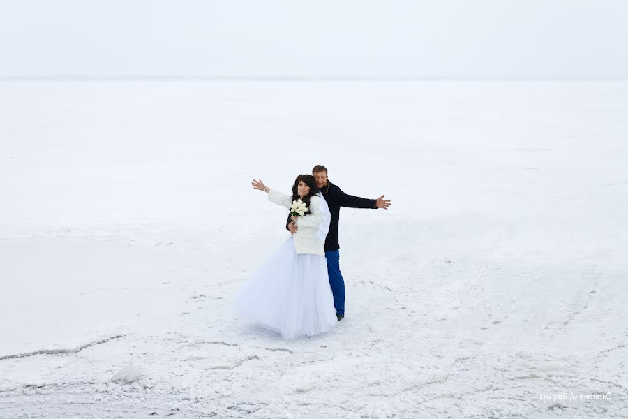 Svadobný fotograf Andrey Larionov (larionov). Fotografia publikovaná 26. januára 2018