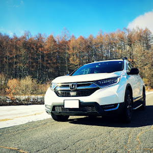 CR-V RW2