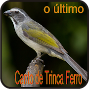 Canto de Trinca Ferro o último 1.0 Icon