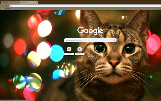 Christmas  warm cat theme chrome extension