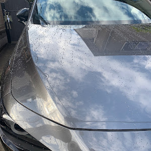 MAZDA3 BP8P
