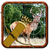 Archer Animal Hunting icon