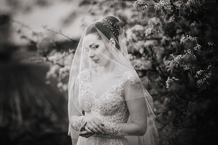 Fotógrafo de bodas Katya Voytukhovich (1806katy). Foto del 8 de agosto 2017