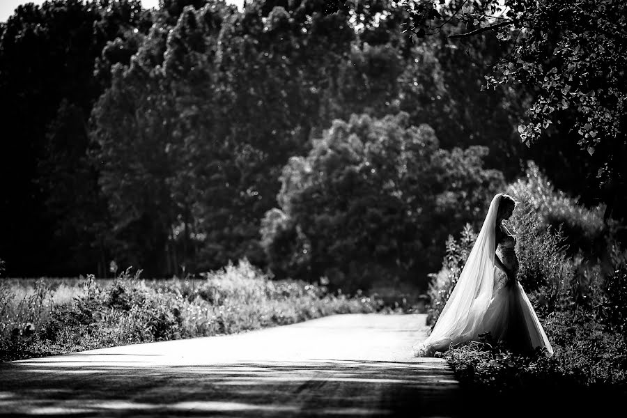 Fotografo di matrimoni Tamara Gavrilovic (tamaragavrilovi). Foto del 1 maggio 2017