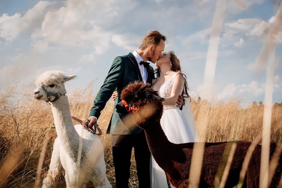 Fotografo di matrimoni Katarzyna Żądło (dxstudio). Foto del 15 dicembre 2023