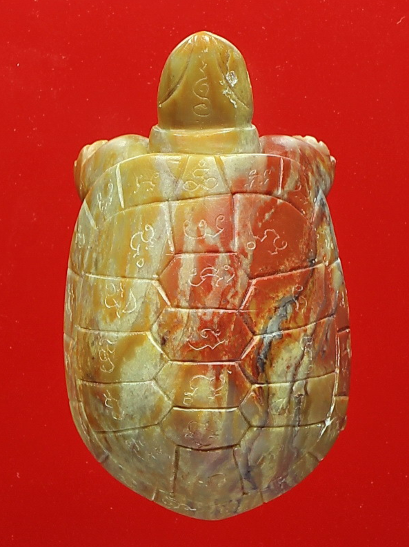 เต่าหลวงพ่อสนิท