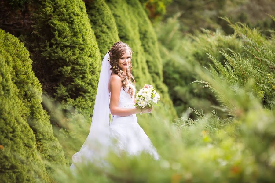 Fotografo di matrimoni Alina Art (alinabuchilo). Foto del 30 maggio 2016