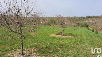 terrain à Laburgade (46)