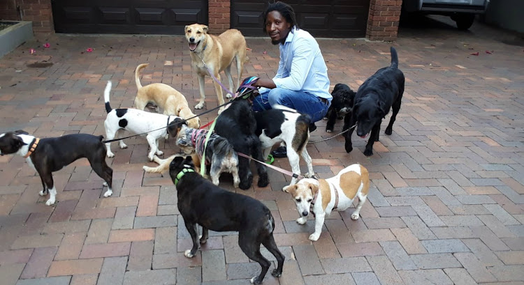 Facebook users have complimented and praised dog walker Thomas Moyo.