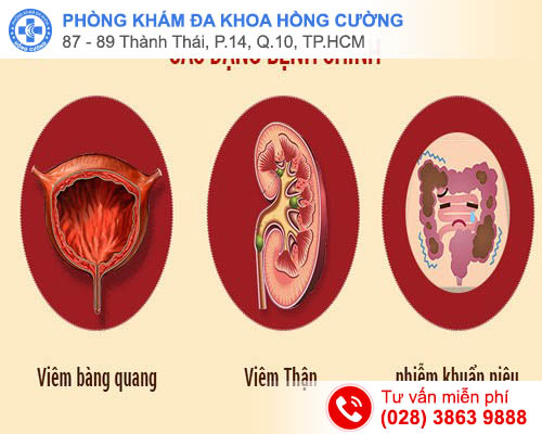 Đi tiểu nhiều lần trong ngày ở nam giới dấu hiệu bệnh lý nguy hiểm 7tkpSGKTGN-35oyA43HDCBDkMPu4mSB3UpBUnCDpDmcok9sCOR3H5HQov6cvrFq2zdfuHAbCsvJbNvJYBjQxCYLeBvyw0gCqtjOpxtqIn6ABtMjVPDaYNBQCBZDba0m-AdNj9jSUS8VdntkXC3is0GA