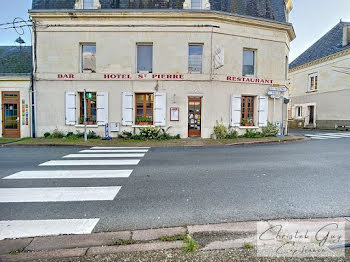 locaux professionnels à Loir en Vallée (72)