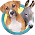 Animal sounds for parents1.3