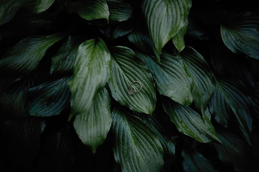 Fotografer pernikahan Dima Schemelev (eniokiy). Foto tanggal 24 Juli 2018