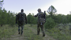 Family Friends and Elk Country thumbnail