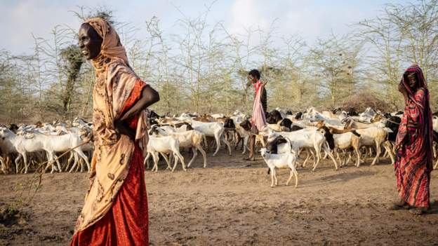 This is the third year without rain - and it is forcing families from their homes