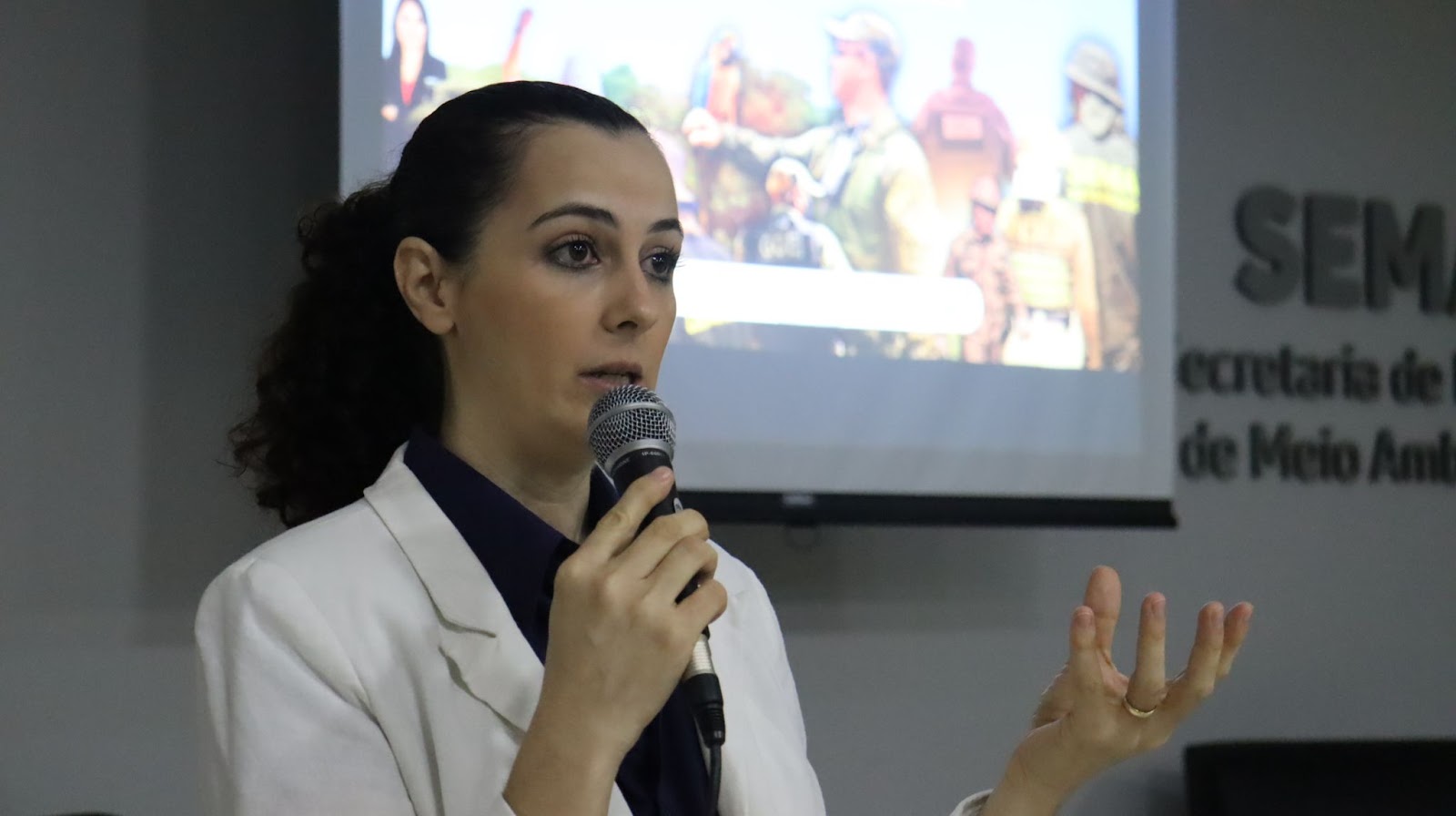 inovações desmatamento ilegal