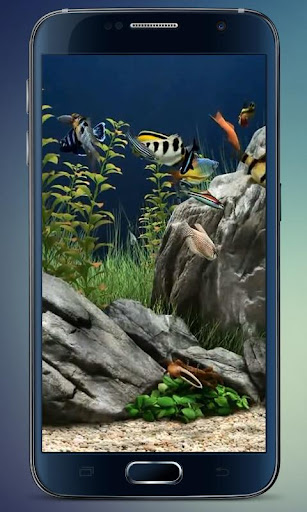 New Aquarium Live Wallpaper