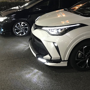 C-HR NGX50
