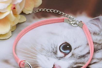 cute kitten cat collar Quick release cat collar nylon cat collars cute
kitten collar for cat