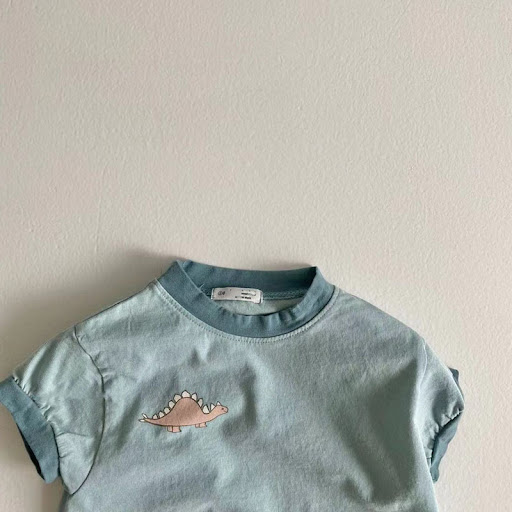 Title 8, Baby cotton short sleeve dinosaur print casual ...