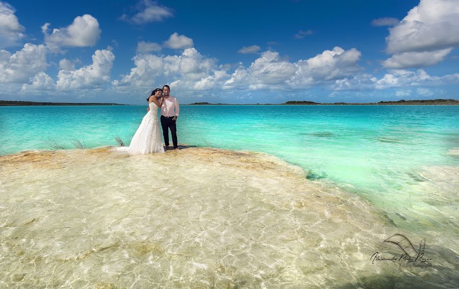 Wedding photographer Alexandro Pérez Pinzón (pinzon). Photo of 20 July 2015