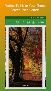 HD Nature Wallpapers & Backgrounds(圖4)-速報App
