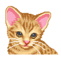 Ocicat Virtual Pet icon