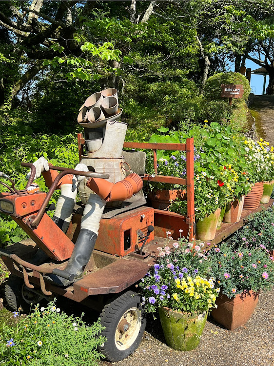 ムーヴキャンバスの晴天のバスツアー・今回も花チューン？・画チューンですね🖼️・信楽鉄道とたぬき達・お土産3キロって？に関するカスタム事例の投稿画像32枚目