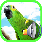 call Bird 1.0 Icon