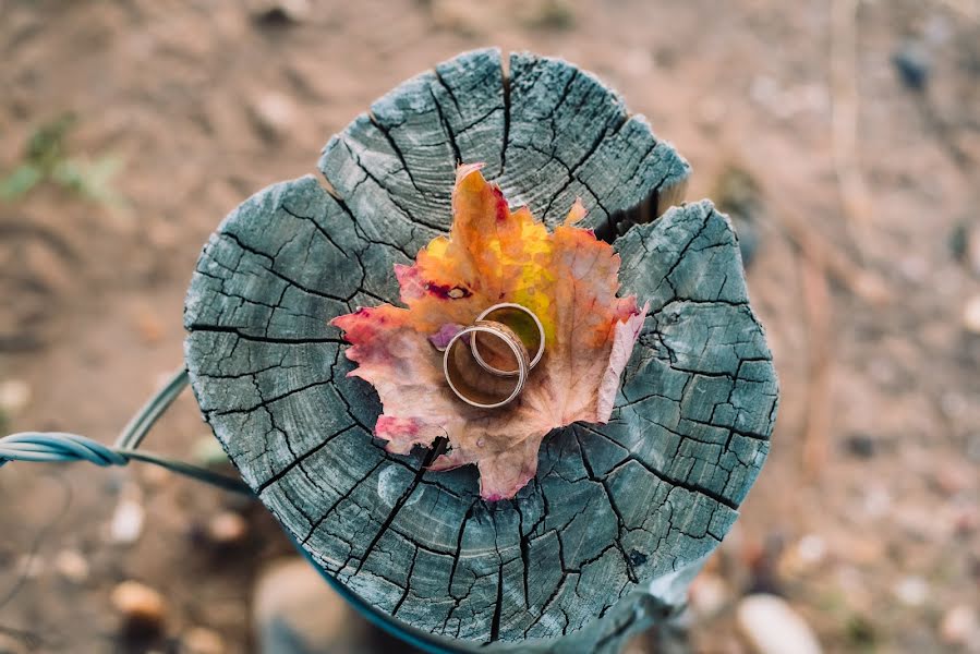 Pulmafotograaf Nestor Ponce (ponce). Foto tehtud 17 aprill