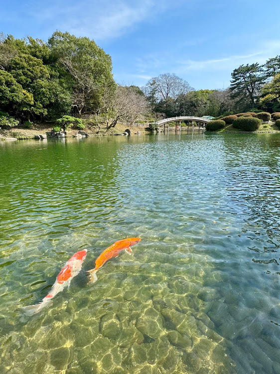 の投稿画像4枚目