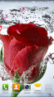 Free Download Rose Live Wallpaper APK