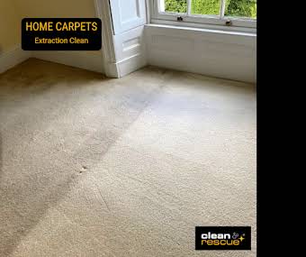 Carpet Cleaning album cover