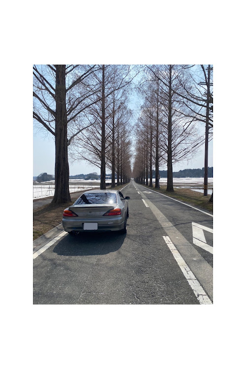 シルビアのインプレッサwrx・s15シルビア・ドライブ・メタセコイヤ並木・夜桜に関するカスタム事例の投稿画像1枚目