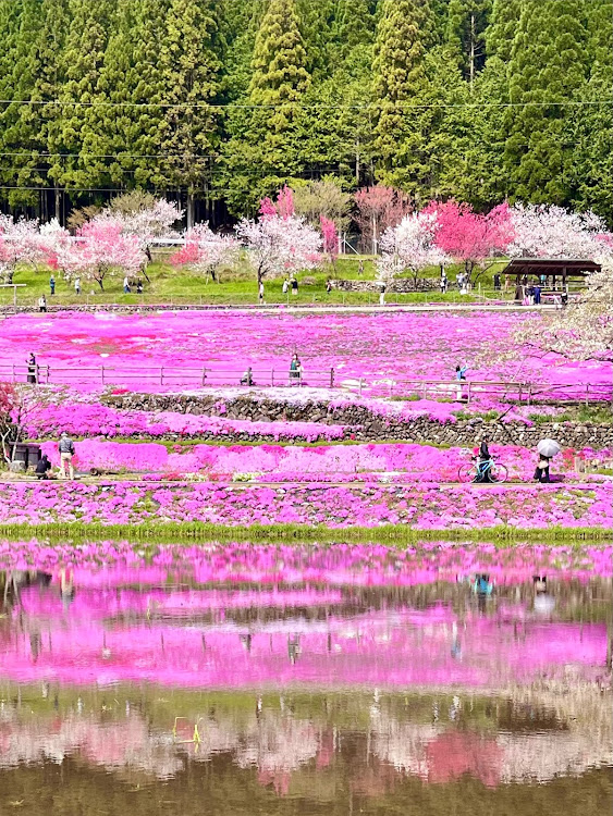 の投稿画像2枚目