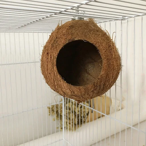 1pcs Pet Bird Coconut Shell Nest Parrot Cage Natural Perch Small Animals Comfortable Parrot Coconut Shell Nest Cage