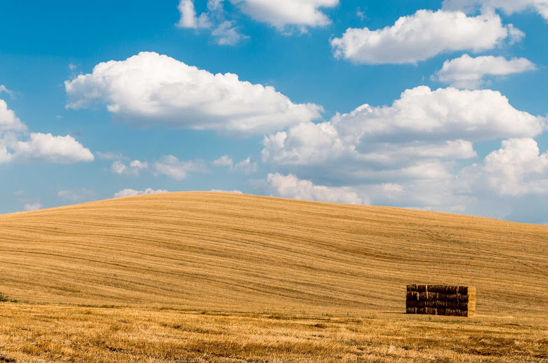 Campi di grano in Val D'Orcia di Aktarus