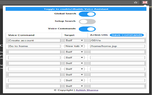 Salesforce Voice Assistant