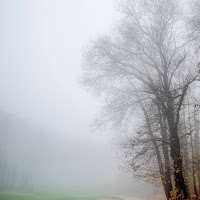 Nebbia nel golf di 