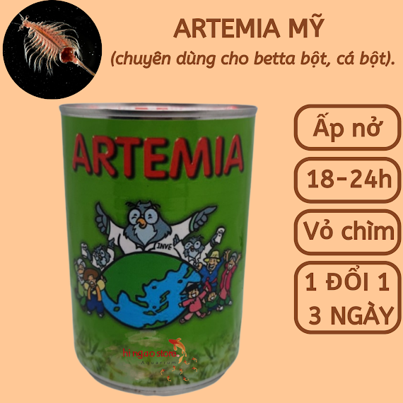 Artemia Mỹ Usa - Thức Ăn Ấp Nở Cho Cá Mới Đẻ - Hingaostore.