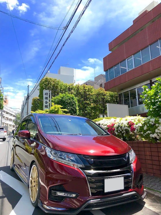 オデッセイのドライブ・洗車・3月のライオン聖地巡礼に関するカスタム事例の投稿画像1枚目