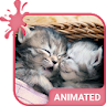 Kittens Keyboard Custom Theme icon