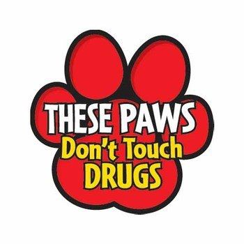 Image result for red ribbon week